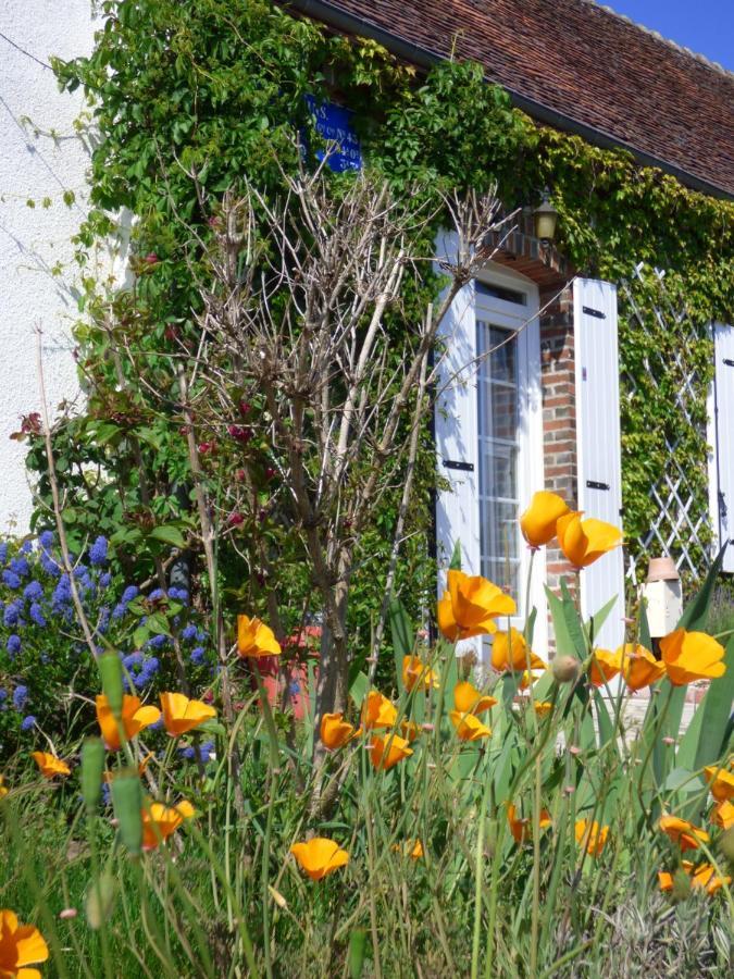 Chambres D'Hotes Les Muscaris Feins-en-Gatinais Екстериор снимка